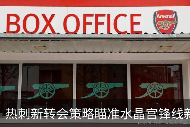 热刺新转会策略瞄准水晶宫锋线新星马特塔